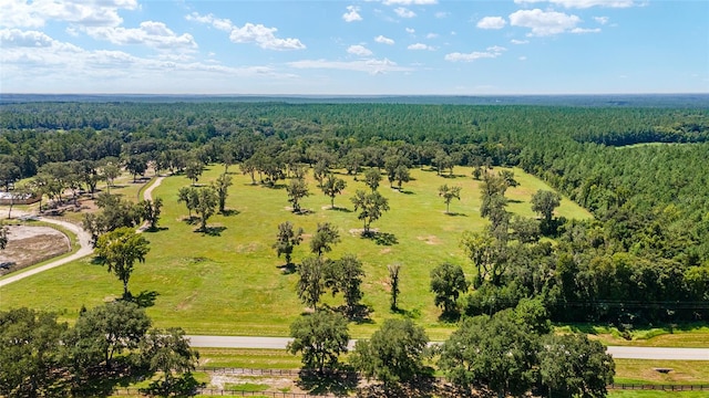 TBD W 316th Hwy, Reddick FL, 32686 land for sale