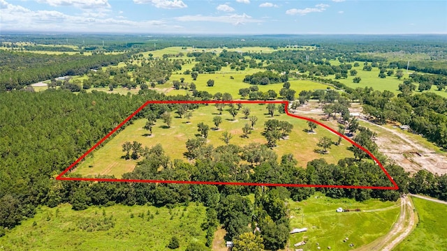 Listing photo 3 for TBD W 316th Hwy, Reddick FL 32686