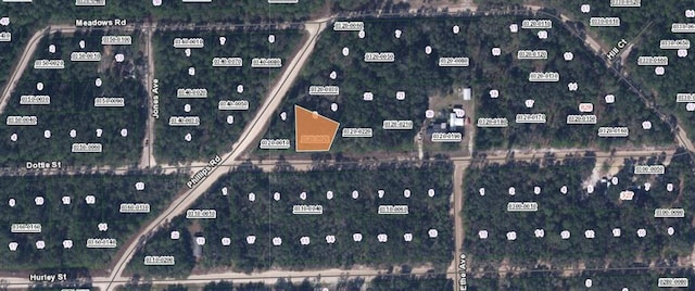 00 Dottie St, Interlachen FL, 32148 land for sale