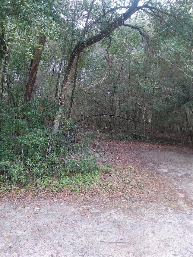 00 NE 147th Ct, Silver Springs FL, 34488 land for sale