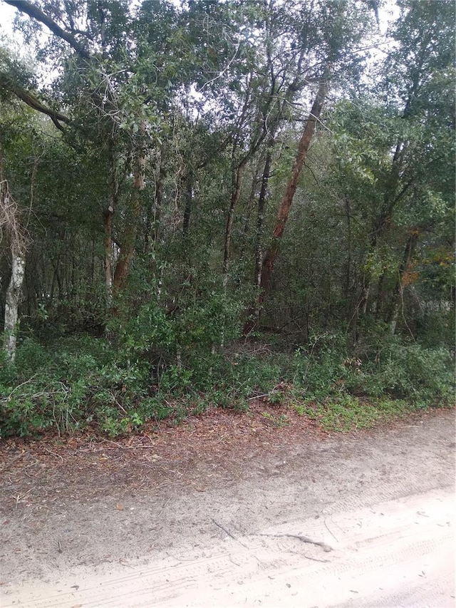 Listing photo 3 for 00 NE 147th Ct, Silver Springs FL 34488