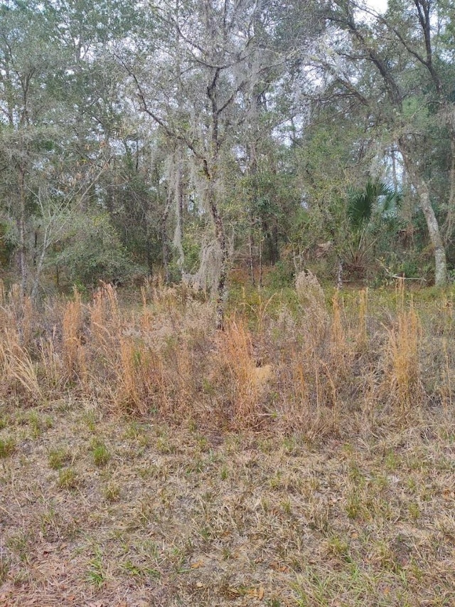 NW Shamrock Ave, Dunnellon FL, 34431 land for sale