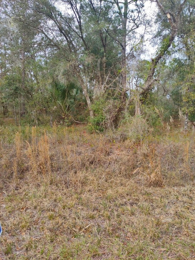 Listing photo 2 for NW Shamrock Ave, Dunnellon FL 34431