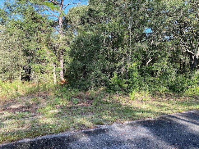 SW Breezy Point Dr, Dunnellon FL, 34431 land for sale