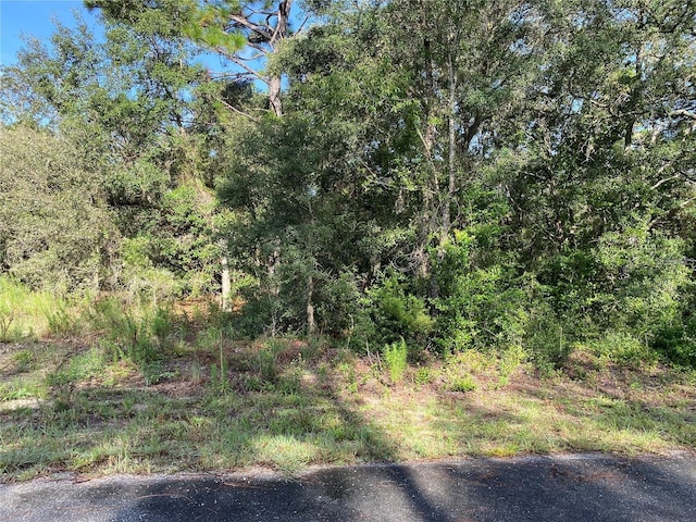 Listing photo 3 for SW Breezy Point Dr, Dunnellon FL 34431