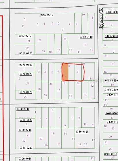 Chestnut Trl, Interlachen FL, 32148 land for sale