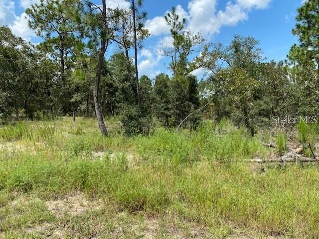 SW Nectarine Ln, Dunnellon FL, 34431 land for sale