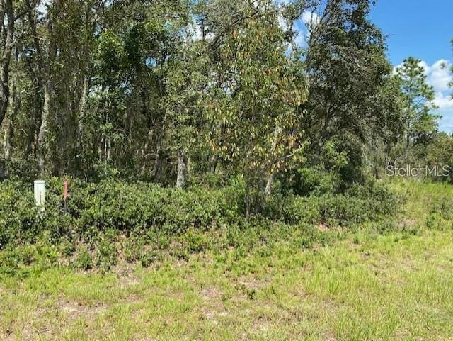 Listing photo 2 for SW Nectarine Ln, Dunnellon FL 34431