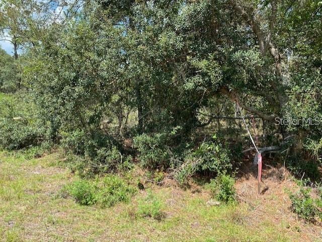 Listing photo 3 for SW Nectarine Ln, Dunnellon FL 34431