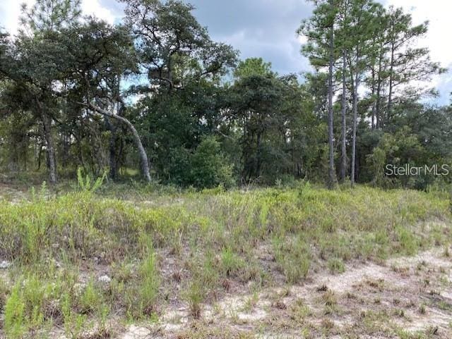 Listing photo 2 for SW Edgewater Blvd, Dunnellon FL 34431