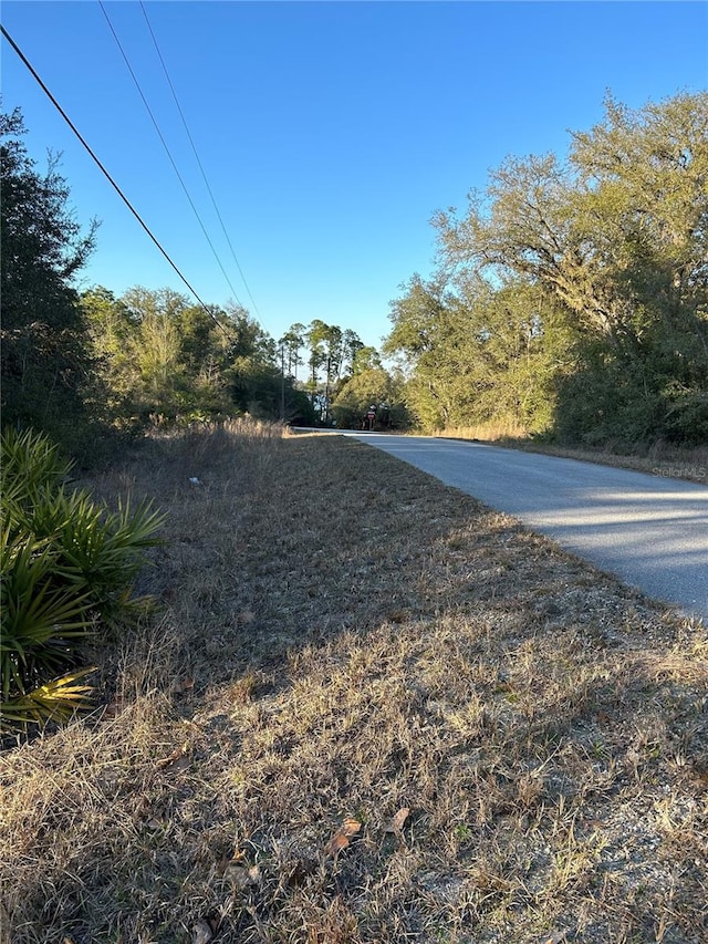 SW S Wind Ct, Dunnellon FL, 34431 land for sale