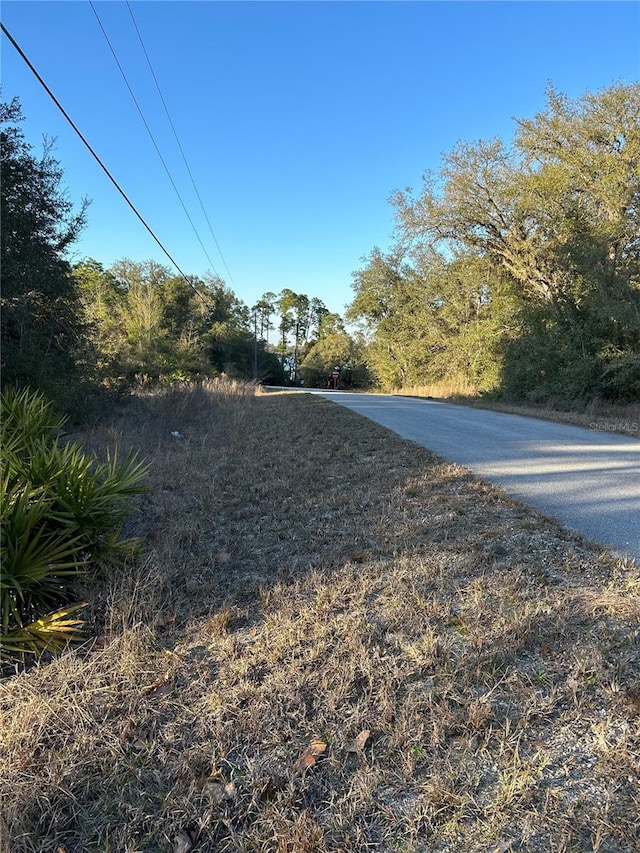 SW S Wind Ct, Dunnellon, FL 34431 - photo 3