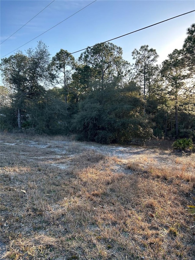 Listing photo 2 for SW S Wind Ct, Dunnellon FL 34431