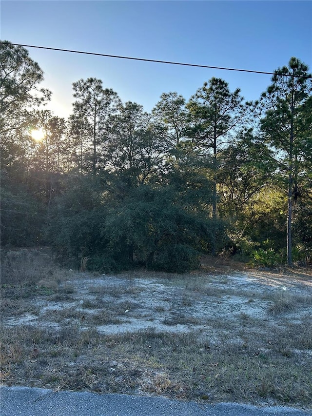 SW S Wind Ct, Dunnellon, FL 34431 - photo 5