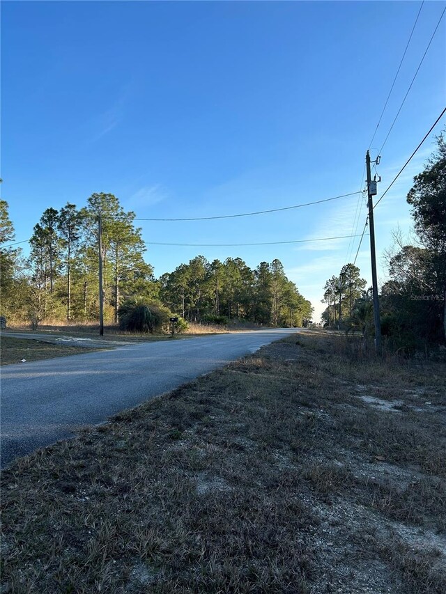SW S Wind Ct, Dunnellon, FL 34431 - photo 4