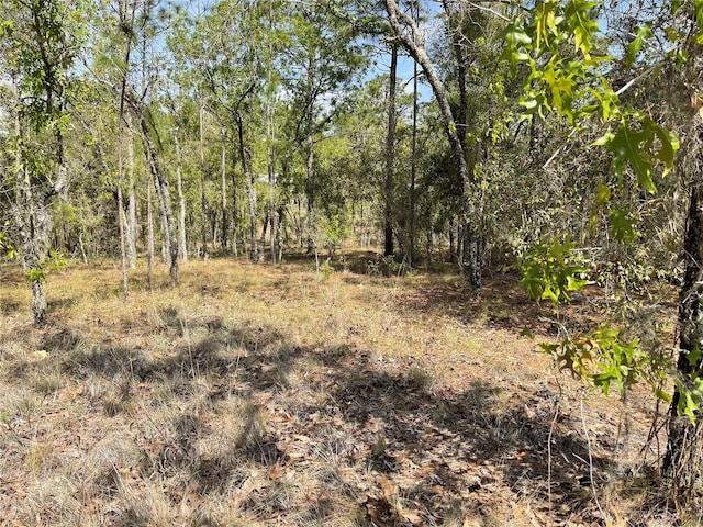 Listing photo 3 for LOT6 SE 2nd St, Williston FL 32696