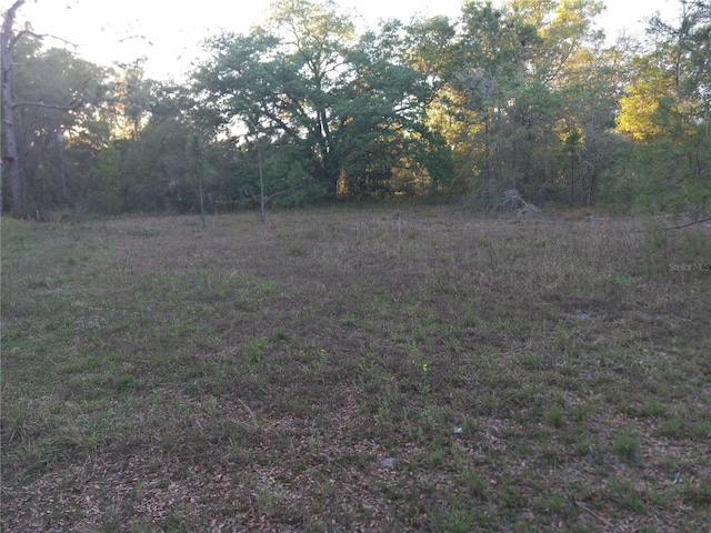 00 NE 141st Ct, Fort Mc Coy FL, 32134 land for sale