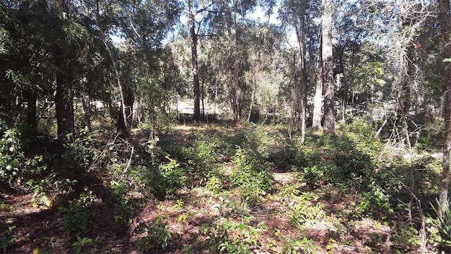 8514 N Erin Dr, Crystal River FL, 34428 land for sale