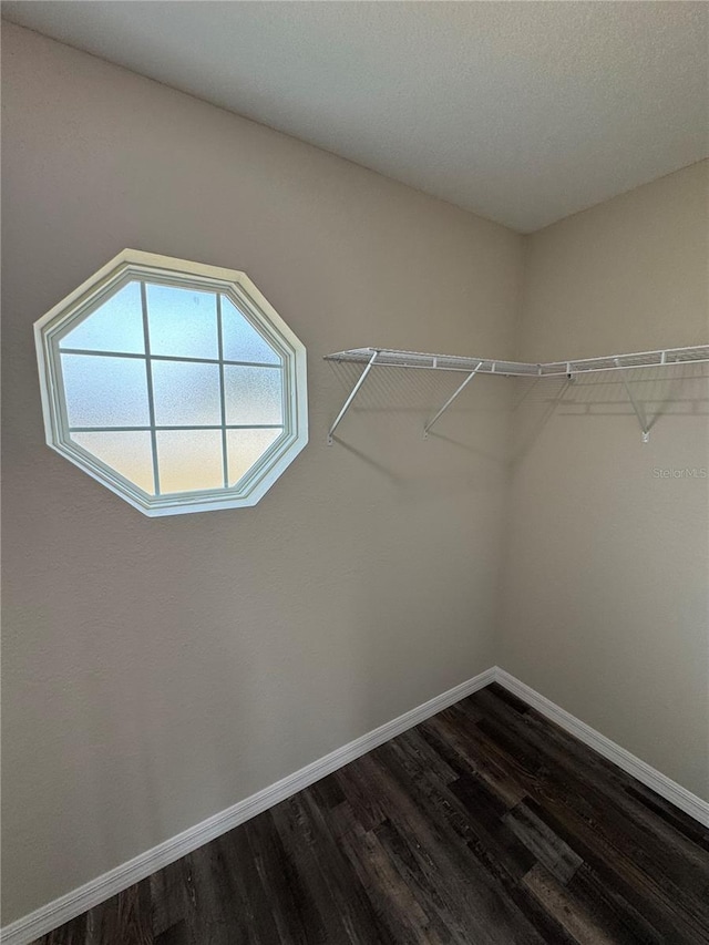 6711 SW 64th Ave, Ocala, FL 34476 - walk in closet with dark wood finished floors