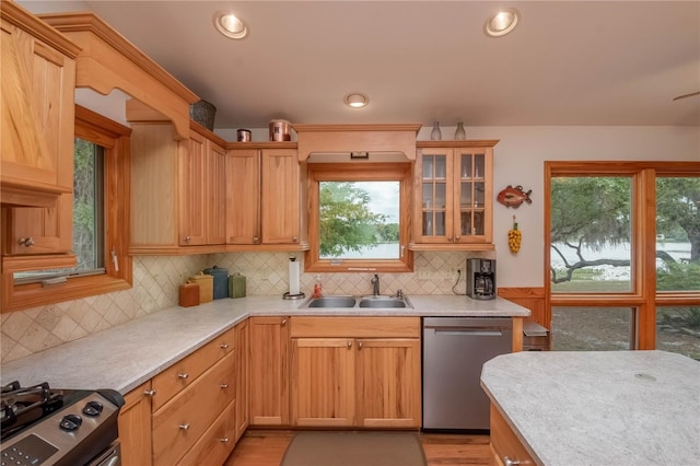 kitchen featuring tasteful backsplash, a wealth of natural light, dishwasher, and sink