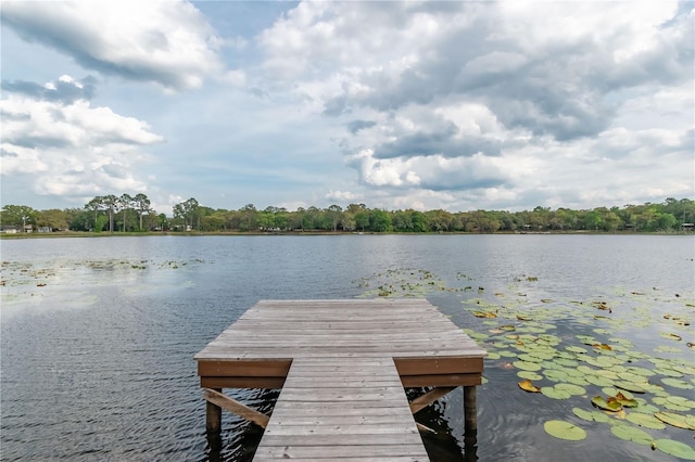 view of dock with a water view