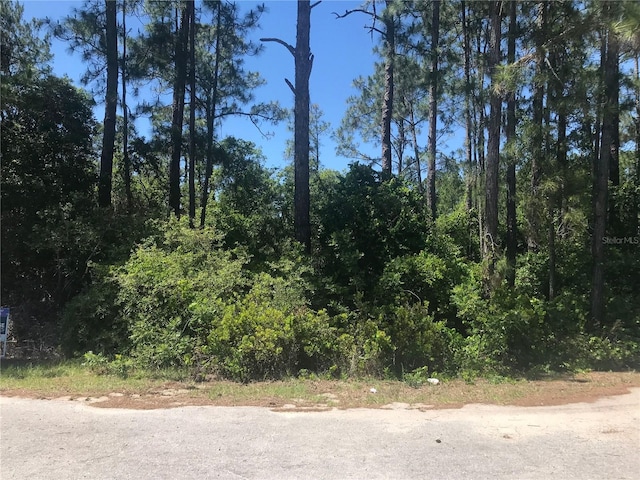 Listing photo 2 for TBD Fisher Pass, Ocklawaha FL 32179