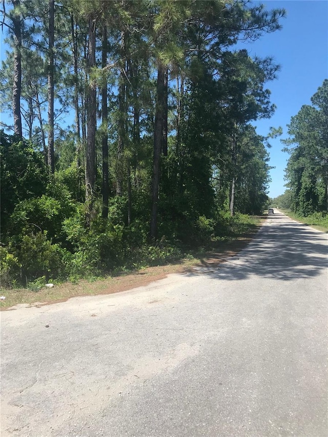 Listing photo 3 for TBD Fisher Pass, Ocklawaha FL 32179