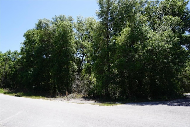 1684 E Manko Dr, Hernando FL, 34442 land for sale