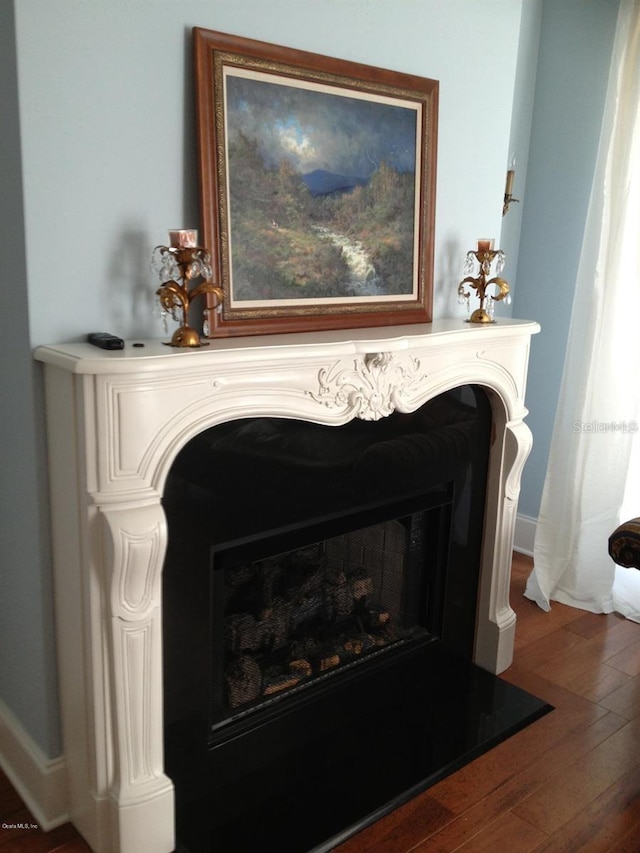 details featuring dark wood-type flooring