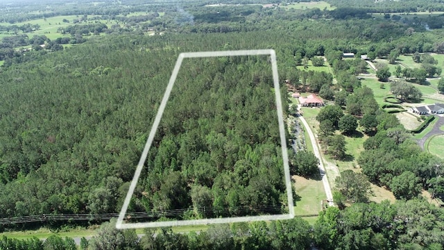 10190 NW 28th Pl, Ocala FL, 34482 land for sale