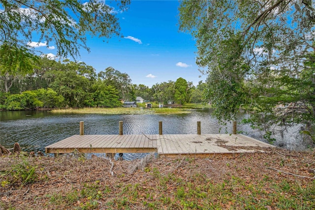 5061 N Emerald Dr, Hernando FL, 34442 land for sale