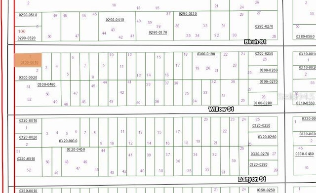 Birch St, Interlachen FL, 32148 land for sale