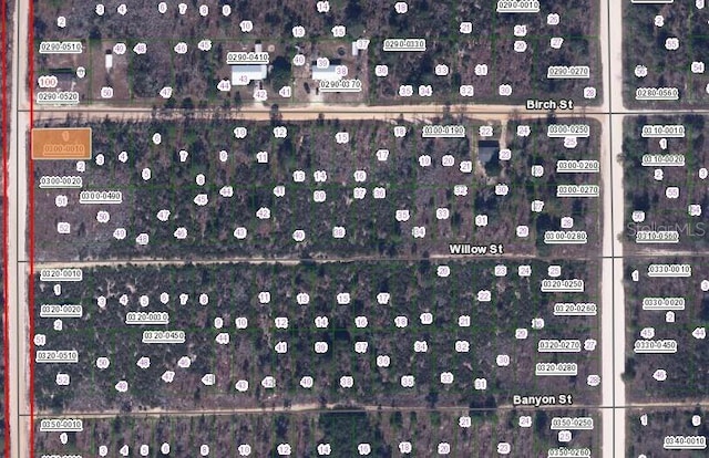 Listing photo 2 for Birch St, Interlachen FL 32148