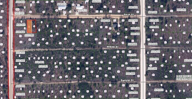 Listing photo 2 for Birch St, Interlachen FL 32148