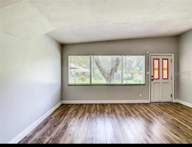 unfurnished room with dark hardwood / wood-style floors, a healthy amount of sunlight, and vaulted ceiling