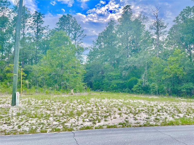 TBD SW 89th Cir Lot 19, Ocala FL, 34473 land for sale