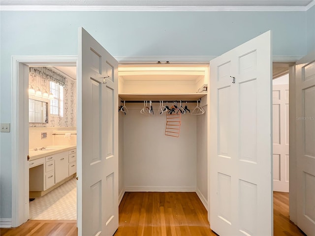 closet with sink