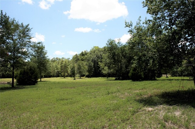 TBD NE 17th Pl, Williston, FL 32696 - photo 6