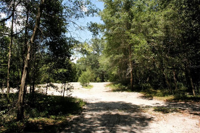 TBD NE 17th Pl, Williston, FL 32696 - photo 12