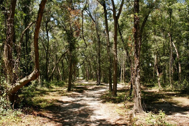 TBD NE 17th Pl, Williston, FL 32696 - photo 7