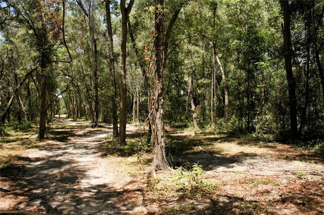 TBD NE 17th Pl, Williston, FL 32696 - photo 8