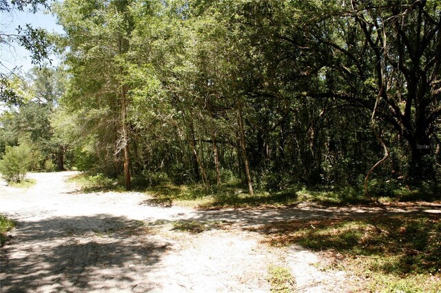 TBD NE 17th Pl, Williston, FL 32696 - photo 10