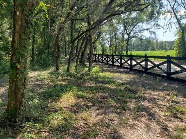 TBD NE 17th Pl, Williston, FL 32696 - photo 20