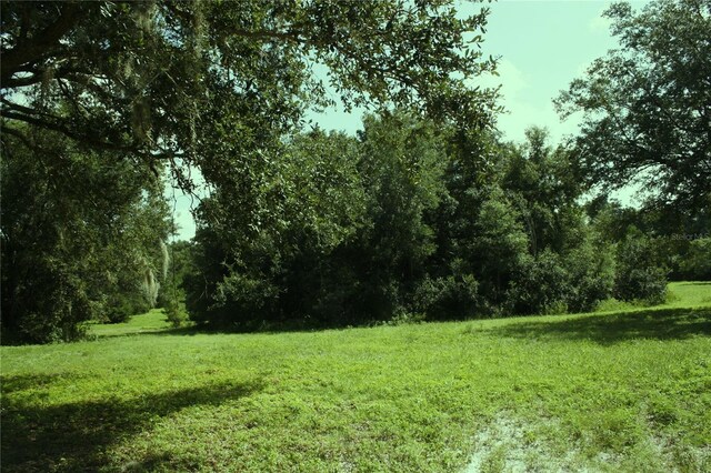 TBD NE 17th Pl, Williston, FL 32696 - photo 14