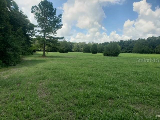 TBD NE 17th Pl, Williston FL, 32696 land for sale