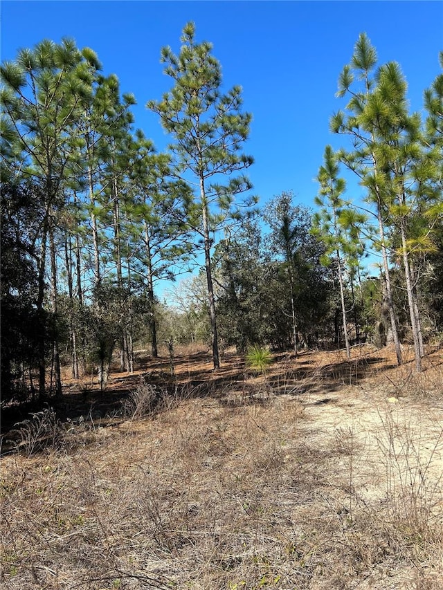 Listing photo 2 for TBD Evergreen Ct, Dunnellon FL 34431