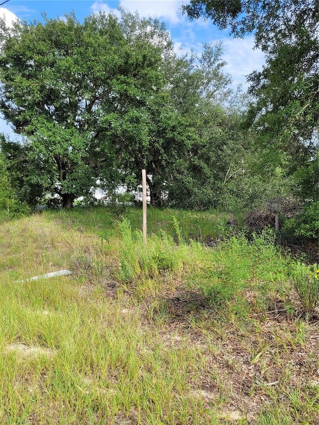 Locust Radl, Ocala FL, 34472 land for sale