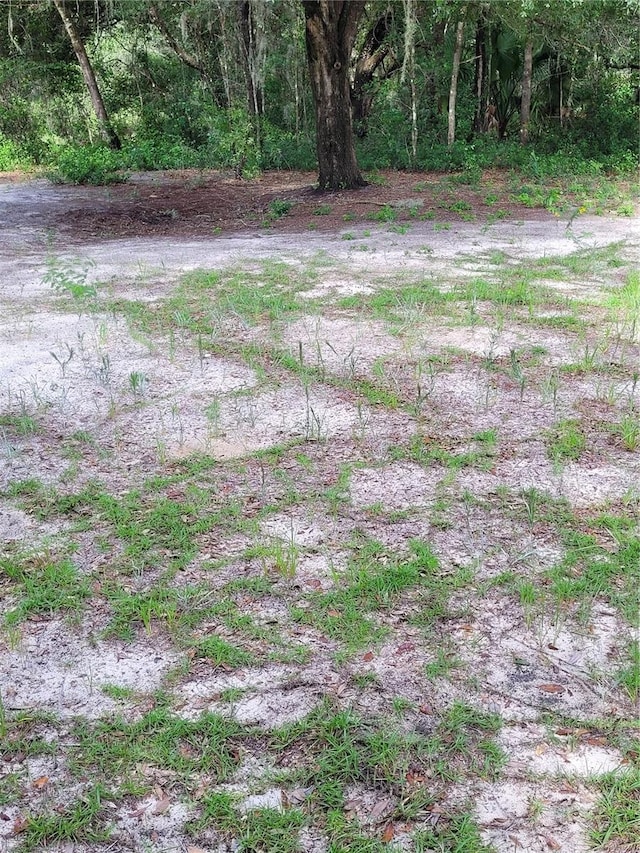 Listing photo 2 for Locust Radl, Ocala FL 34472