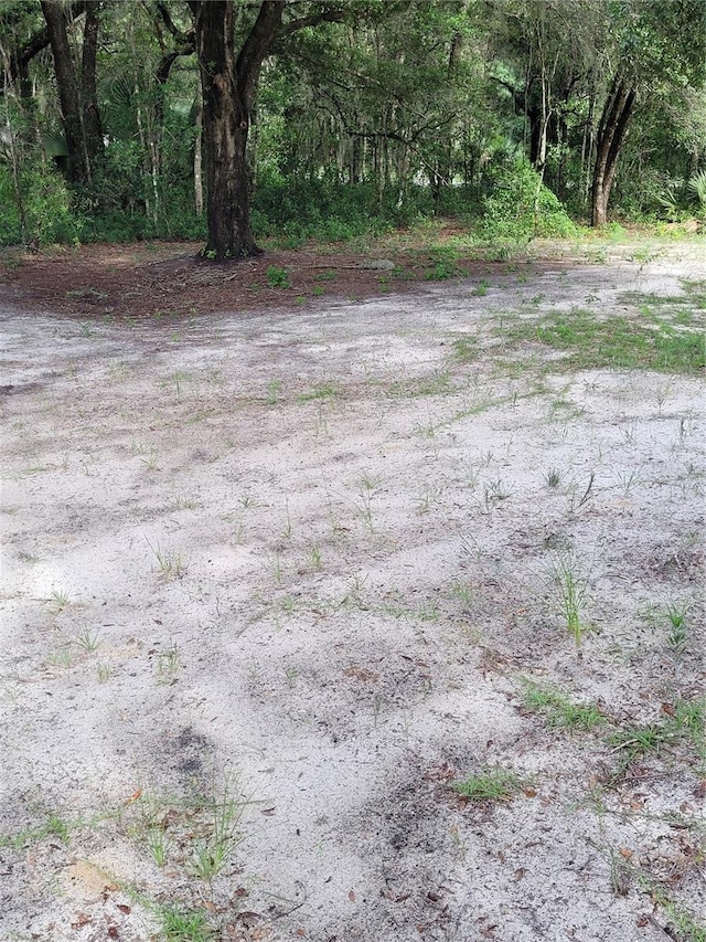 Listing photo 3 for Locust Radl, Ocala FL 34472