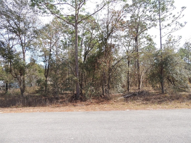 00 SE 126th Ter, Dunnellon FL, 34431 land for sale